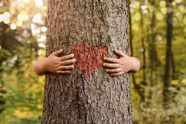 🌞 Light-Led, Earth-Made: The Story Behind Our Ethos Child’s hands hugging a tree with a red heart painted on the bark, symbolizing love for the Earth and sustainable parenting values.