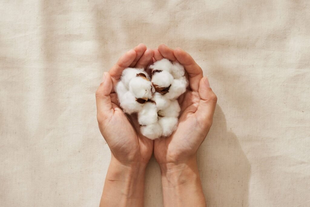 Hands gently holding raw organic cotton bolls — sustainable textiles and natural fibers for eco-friendly baby clothing.