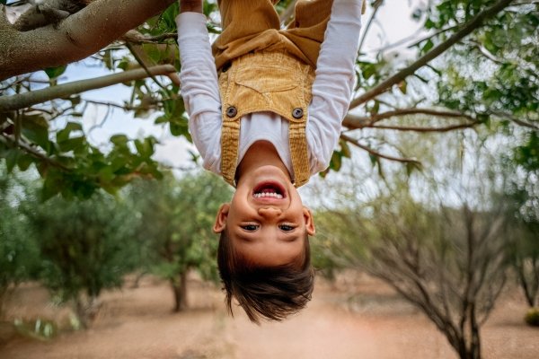 Smiling child hanging upside down from a tree branch, embodying joyful play and childhood curiosity.