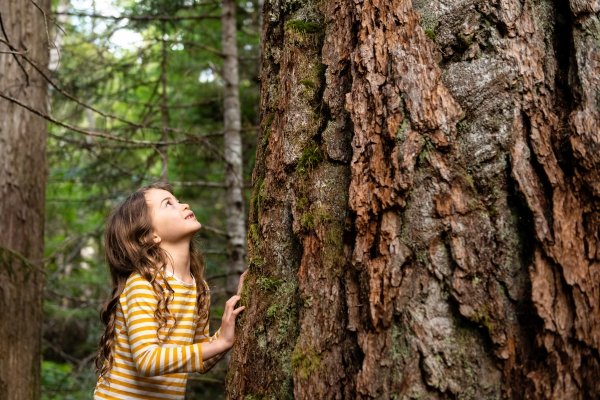 🌙 The Open Window: What Children Remember Before the World Teaches Them to Forget