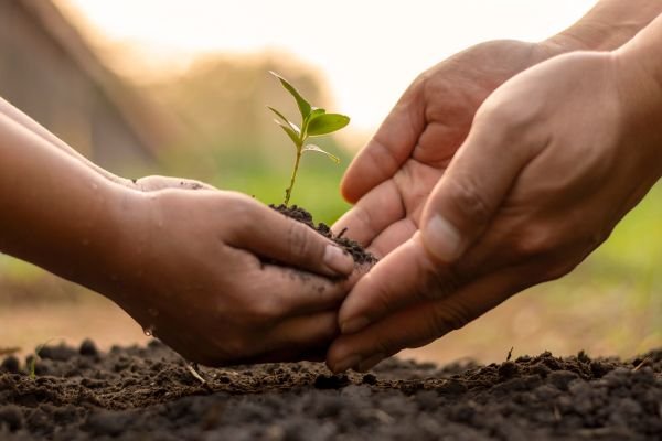 🌞 Light-Led, Earth-Made: The Story Behind Our Ethos Adult and child hands planting a small green seedling in soil, representing sustainability and eco-conscious parenting.
