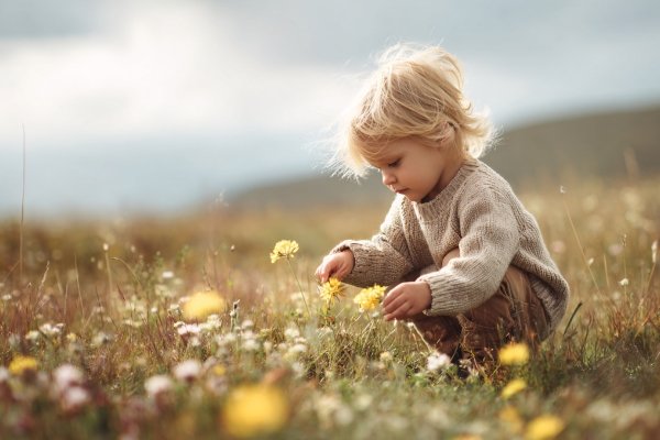 Young child crouching in a wildflower meadow, gently picking blossoms — a quiet moment preserving the innocence of childhood.