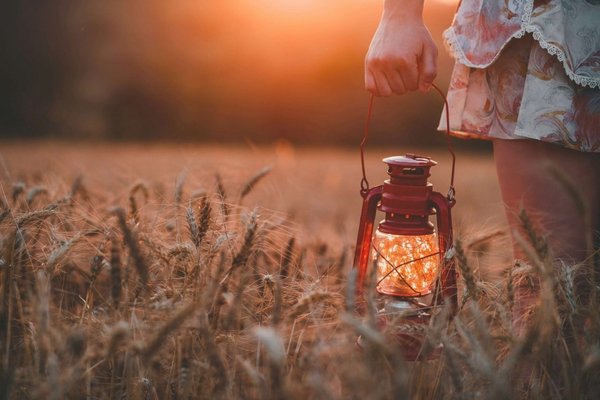 Lantern glowing at sunset in a field, symbolizing the firefly light and warmth at the heart of Little Guru & Co.