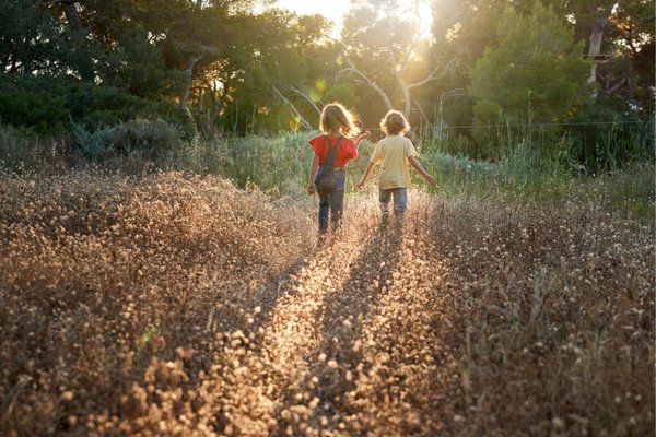 Children walking through a sunlit field, illustrating childhood connection to nature and the interconnectedness of life