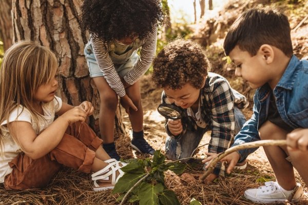 The Magic of Synchronicity: How the Universe Helps Us Find Our Way Children gathered around a plant in nature, observing closely and learning through curiosity and shared discovery.