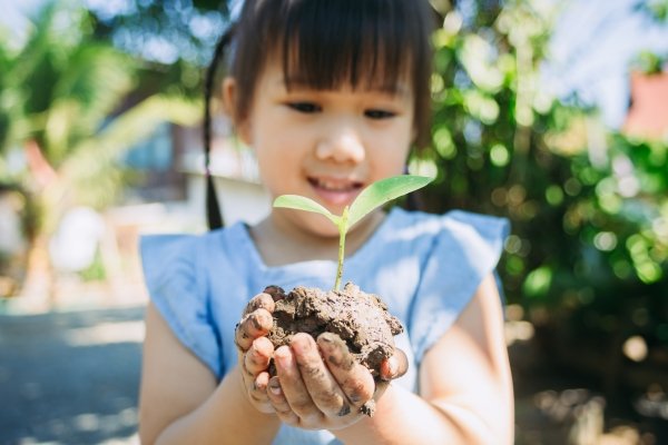 Child holding a young plant, symbolizing how positive parenting language nurtures growth and confidence.