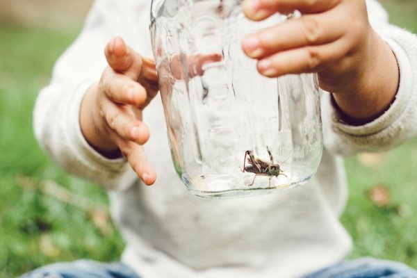 Child observing insect in jar representing learning through nature and childhood curiosity