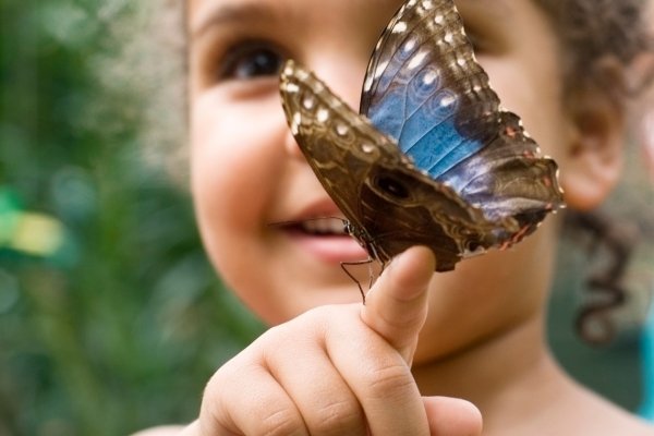 Child observing butterfly on finger representing connection to nature and childhood wonder
