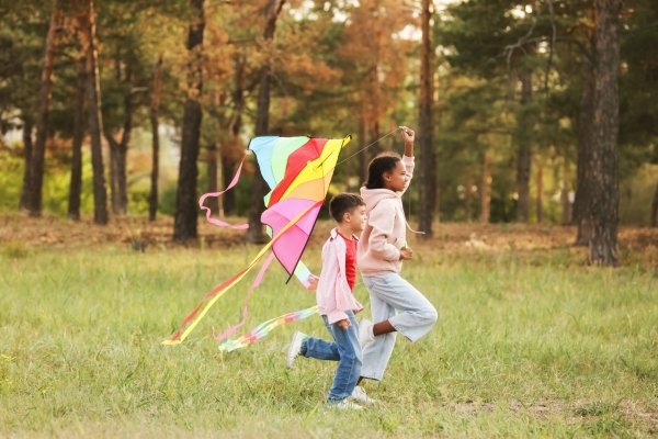Children flying a kite in an open field representing childhood wonder and freedom
